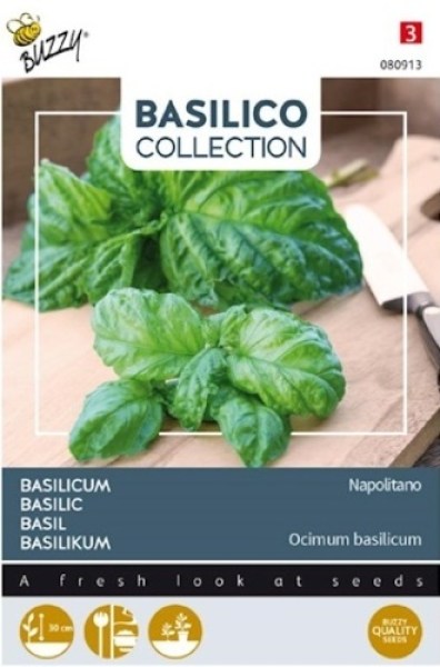 080913 bazalka napolitano4